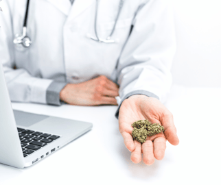 Gorilla Glue: Potente Sorte und Wirkung